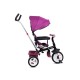 Tricicleta cu sezut reversibil Sun Baby 017 Fresh 360 - Burgundy