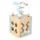 Cub educational din lemn cu labirint si sortator Ecotoys HM015472