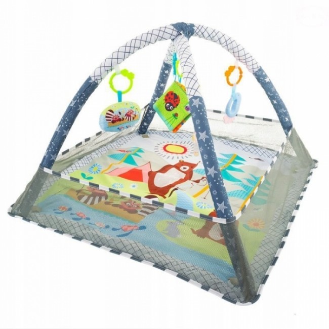Salteluta de joaca pentru copii cu jucarii detasabile EURObaby CC9040