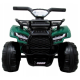 ATV electric pentru copii 2-4 ani J8AAA R-Sport - Verde