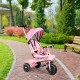 Tricicleta 2 in 1 pentru copii, scaun rotativ 360°, roti din spuma EVA, Ecotoys WQL-066-18 - Roz