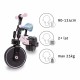 Tricicleta cu pedale 3 in 1 Kidwell Pico Spring Flower