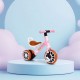 Bicicleta 2 in 1 cu pedale detasabile Ecotoys LC-V1307N - Roz